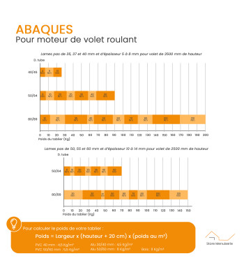 Moteur, 33 Nm, Radio, Universel Bubendorff, avec Emetteur et Adaptateur