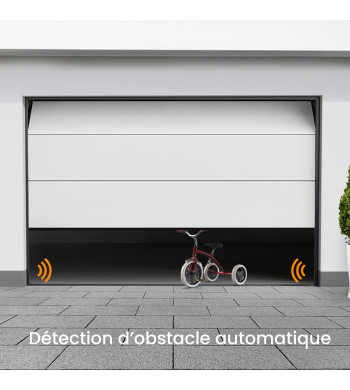 Moteur Dexxo Smart 1000, pour Porte de Garage Sectionnelle, Somfy, Dexxo Smart 1000 io - Pack Courroie