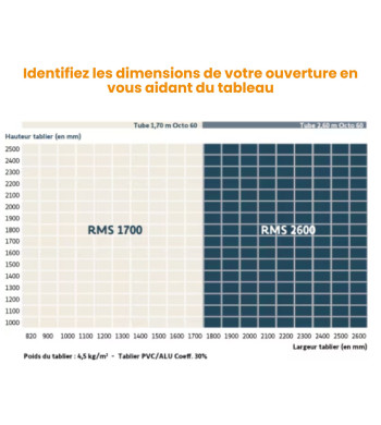 Kit motorisation radio io Somfy RMS2600