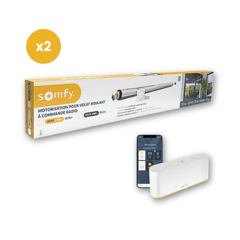 Lot de 2 Motorisation Radio io, Volets Roulants RMS 2600, avec TaHoma Switch Somfy