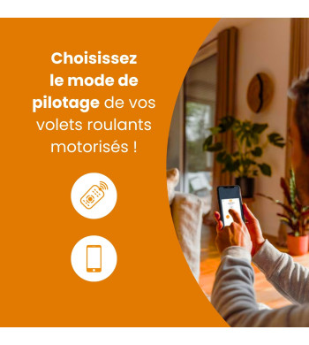 Lot de 2 Motorisation Radio io, Volets Roulants RMS 1700, avec TaHoma Switch Somfy