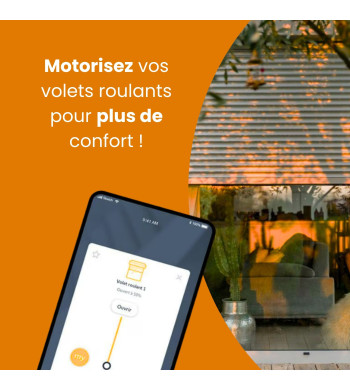 Lot de 2 Motorisation Radio io, Volets Roulants RMS 1700, avec TaHoma Switch Somfy