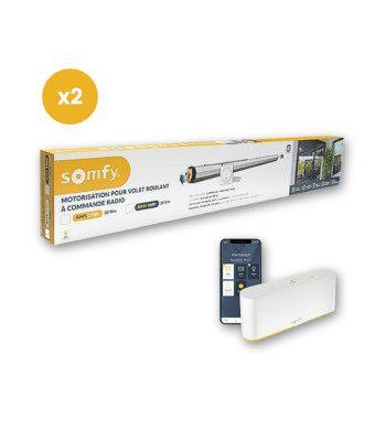 Lot de 2 Motorisation Radio io, Volets Roulants RMS 1700, avec TaHoma Switch Somfy