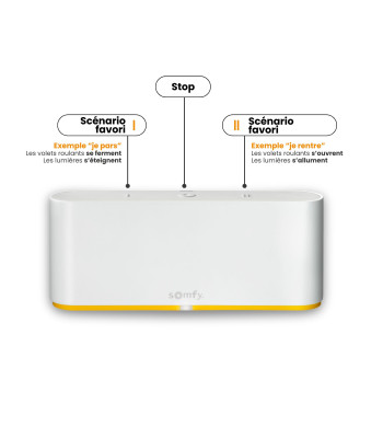 Lot de 2 Motorisation Radio io, Volets Roulants RMS 1700, avec TaHoma Switch Somfy