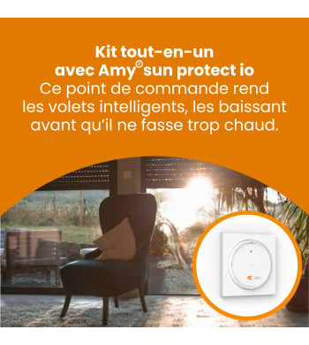 Kit Motorisation, Volet Roulant, Radio, pour Porte Fenêtre, RMS 1700, 20Nm, Somfy