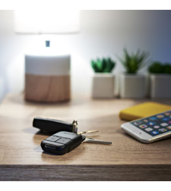 télécommande Somfy 2 canaux rts