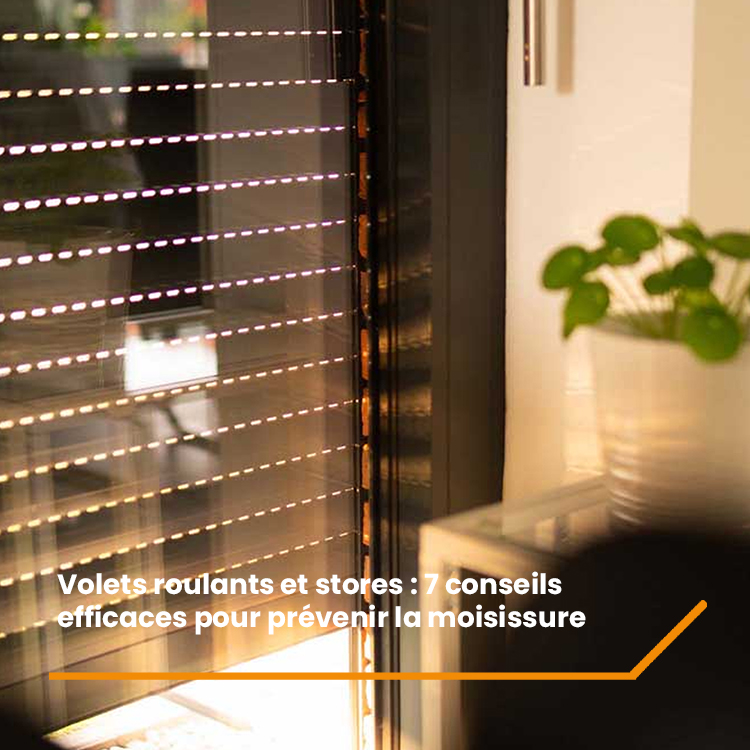 Volets roulants et stores : 7 conseils efficaces pour prévenir la moisissure